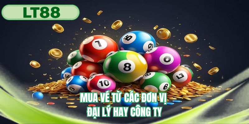 Mua vé từ các đơn vị đại lý hay công ty