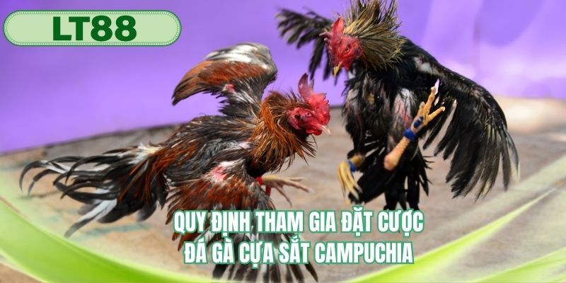 Quy định người chơi đặt cược cho kết quả trận đấu