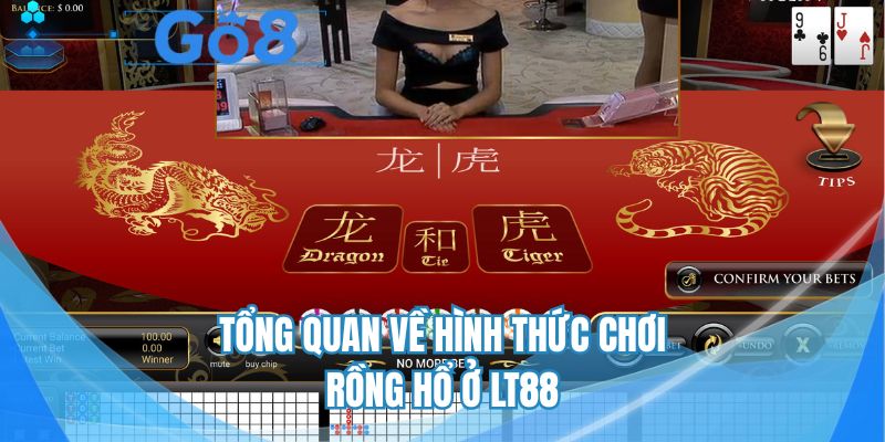 Tổng quan về hình thức chơi rồng hổ ở LT88